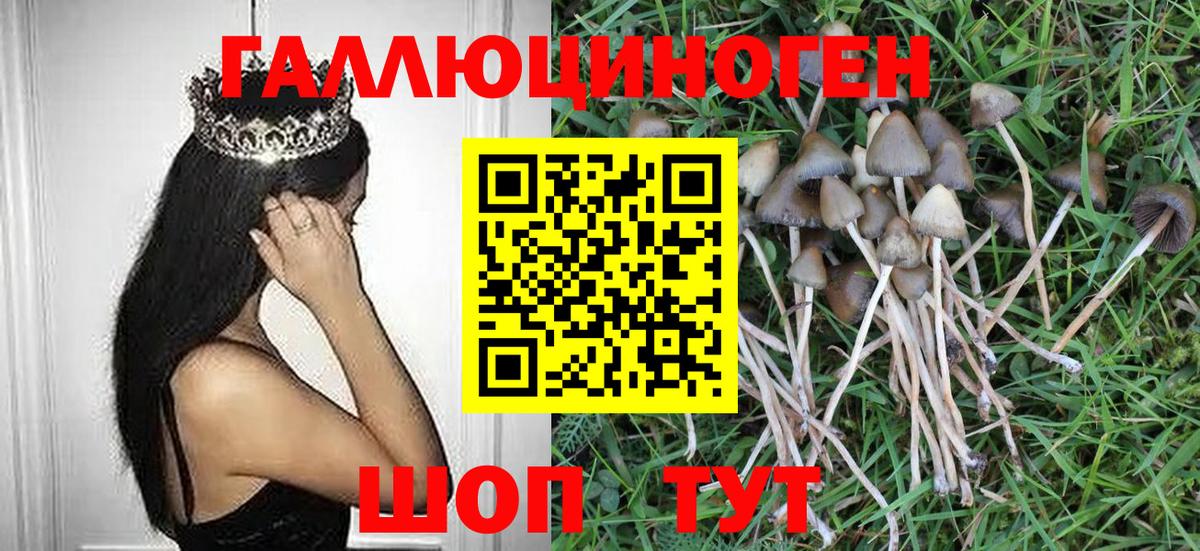 Псилоцибиновые грибы Psilocybe  Вход с VPN  Троицк  Галлюциногенные грибы мицелий 
